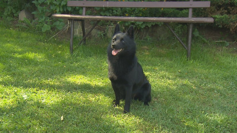 Chcete mě? - 16. září 2018