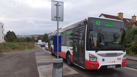 Černé ovce - 19. listopadu 2020