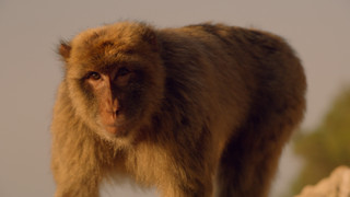 Andy a cesta kolem světa