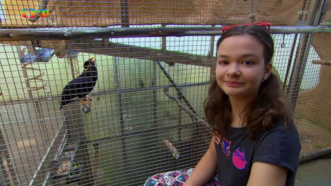 Terčin zvířecí svět - 20. září 2019