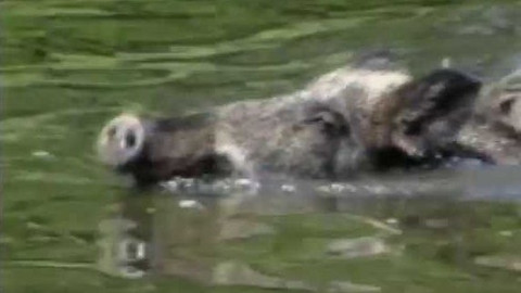 Archiv ČT24 - Extrémy počasí