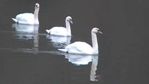 Tisíc let české myslivosti - 4. června 2009