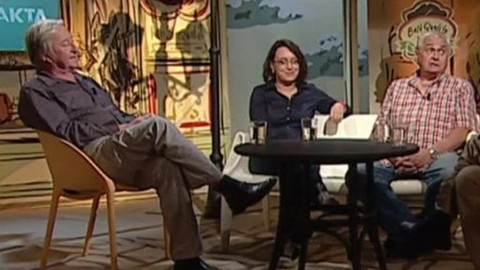 Artefakta - Kam spěje česká komedie?