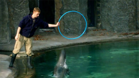 Lovci záhad - Řeč zvířat