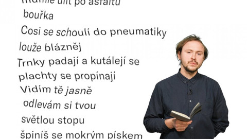 Jedna báseň - Ladislav Zářecký