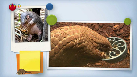 Zprávičky - 17. února 2024