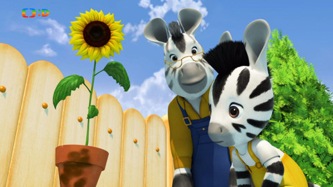 Zou - Slunečnice Zlatuška