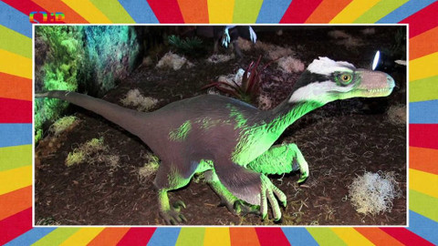 Tamtam - 2. března 2019