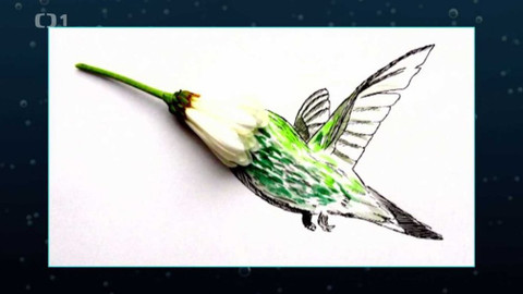 Gejzír - 19. dubna 2018