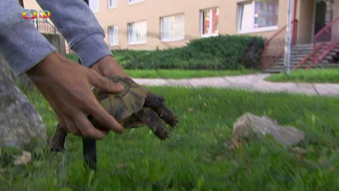 Terčin zvířecí svět - 12. listopadu 2021