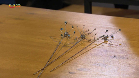 Šikulové - Velká výzva - 7. listopadu 2024