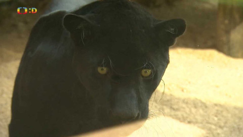 Zprávičky - 15. května 2022