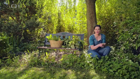 Všechno, co mám ráda - Epizoda 163/47