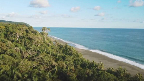 Dobrodružství vědy a techniky - Obnova divočiny - zpět k přírodě