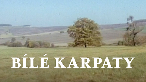 Bílé Karpaty