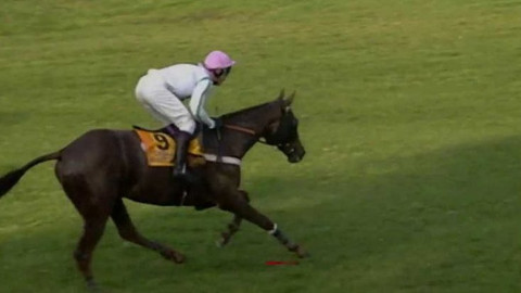 Velká pardubická - historie - 1996