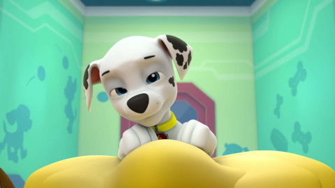 Tlapková patrola - Tlapky zachraňují přespávačku / Tlapky zachraňují karneval