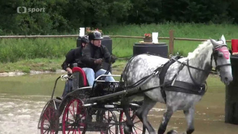 Jezdectví - Mezinárodní závody spřežení CAI Nebanice