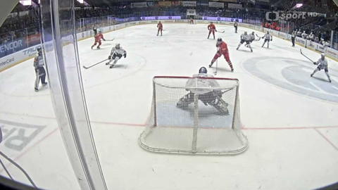 Buly hokej - Buly - souhrn