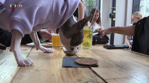 Zprávičky - 13. srpna 2021