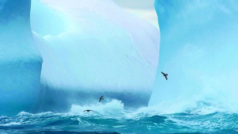 Zmrzlá planeta - 7/8 Těžký úděl živočichů za polárním kruhem