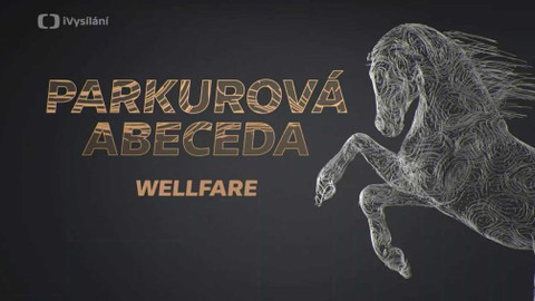 Parkurová abeceda - Wellfare