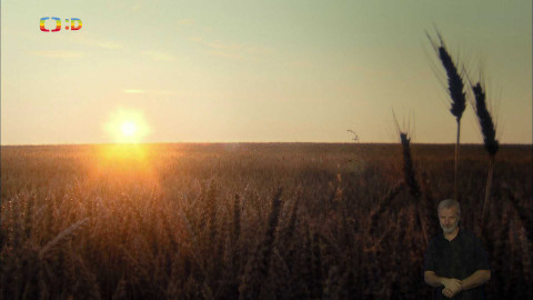Čtení do ouška - Zvířátka a Petrovští