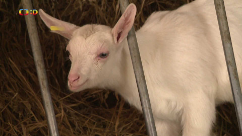 Zprávičky - 1. března