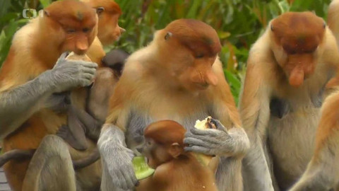 Objektiv - 1. července 2018