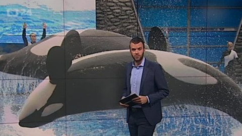 Horizont ČT24 - 30. listopadu 2014