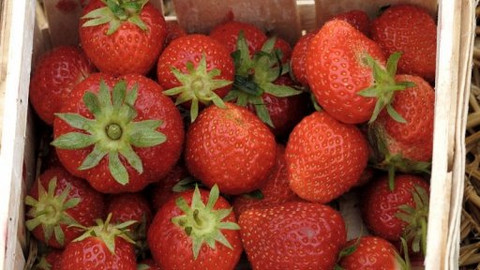 Kluci v akci - Jahodová