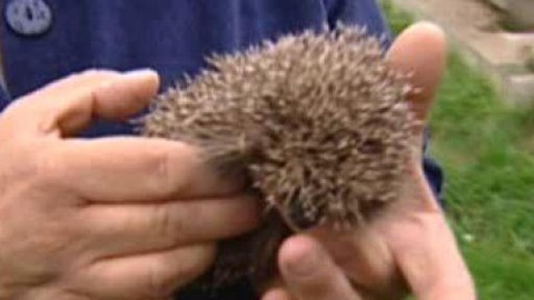 Chcete mě? - 15. října 2010