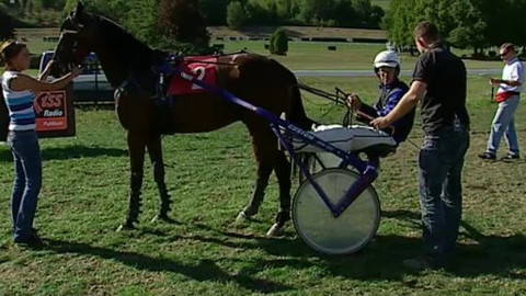 Jezdectví - České klusácké derby