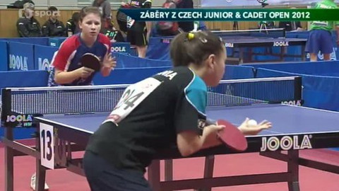 Sport v regionech - 28. března 2013