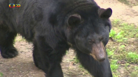 Terčin zvířecí svět - 27. září 2024