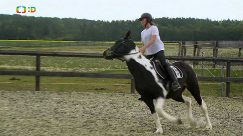 Terčin zvířecí svět - 7. června 2019