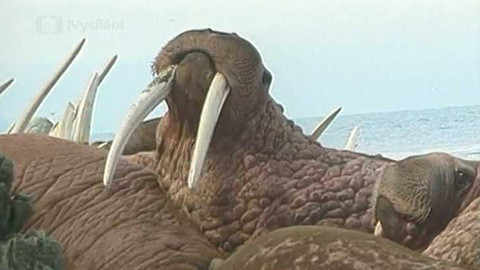 Objektiv - 19. září 2004