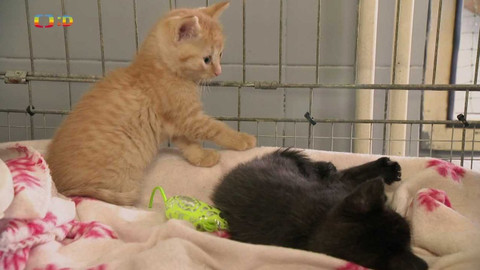 Terčin zvířecí svět - 19. května 2023