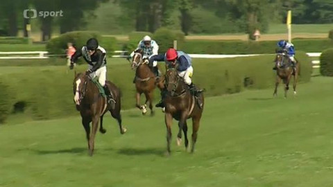 Turf - 23. července 2014