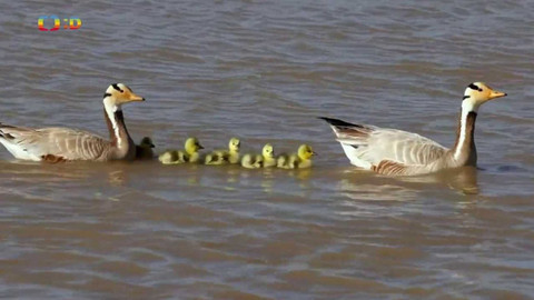 Zprávičky - 3. července 2023