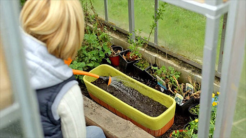 Kouzelné bylinky - Poruchy spánku