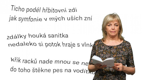 Jedna báseň - Renata Bulvová