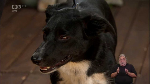 Život na třetí - 11. června 2020