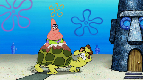 SpongeBob v kalhotách - Želví hrátky / Sleva pro důchodce