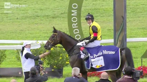 Velká pardubická - Před Velkou pardubickou 2020