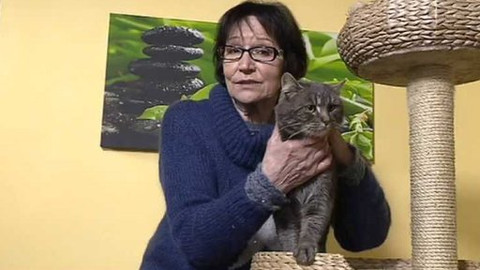 Chcete mě? - Chcete je?