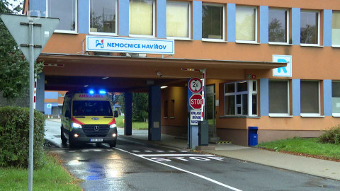 Černé ovce - 20. listopadu 2024