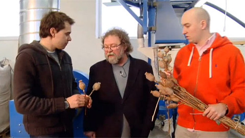 Kluci v akci - Maková