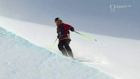 Světový pohár ve freestyle lyžování - USA