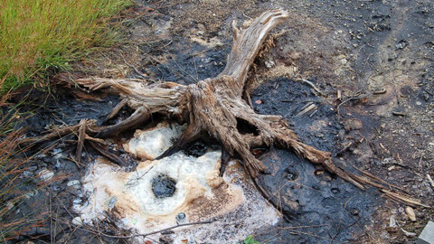 Tajný život skal - Živá země